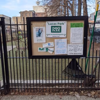 Lucas Park Dog Park photo 1